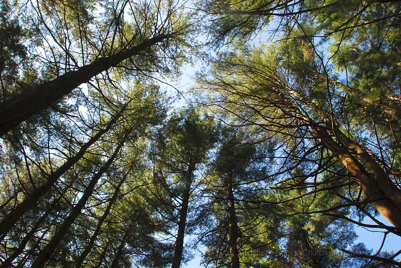 DSC_7674.JPG