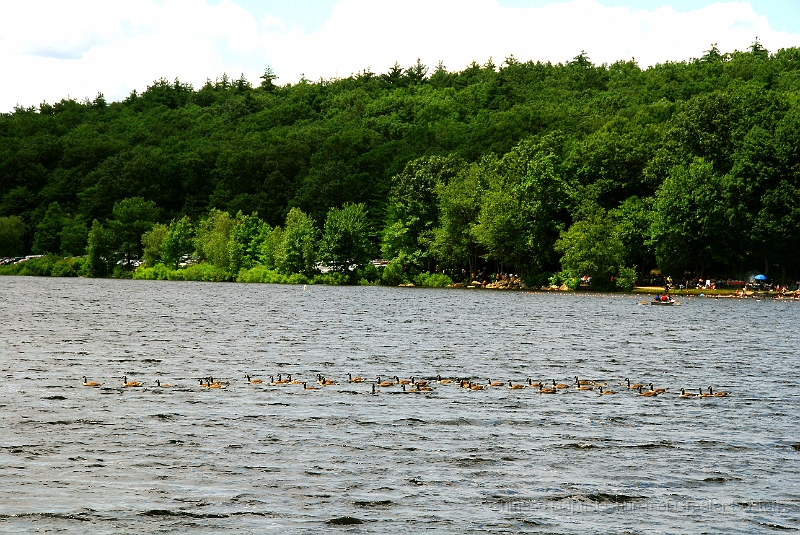 DSC_7873.JPG