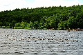 DSC_7873