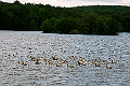 DSC_7881