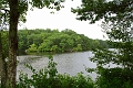DSC_8421