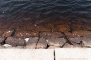 ADR_3646